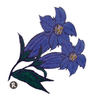 Alpenblume