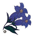 Alpenblume
