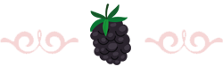 Brombeere